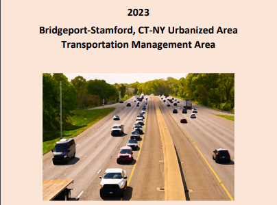 Congestion Management Process 2023
